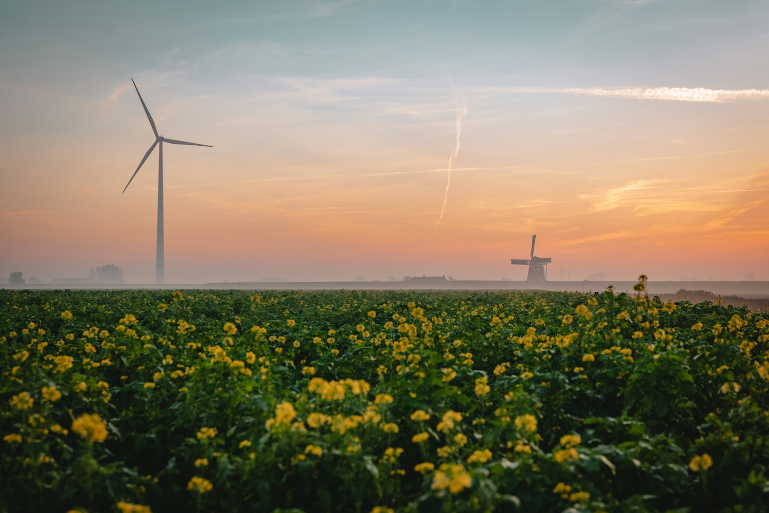 tim-van-der-kuip-VciVjEYKdRU-unsplash